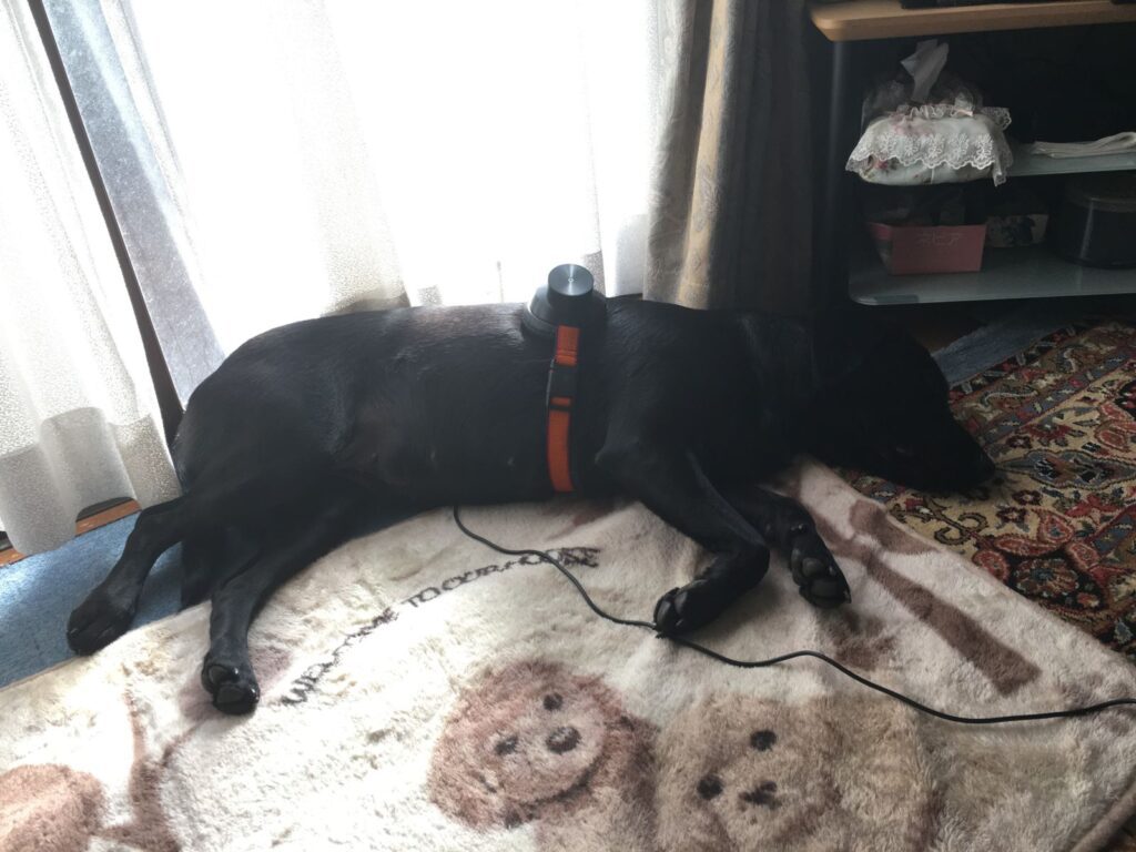 眠た過ぎる~もうダメ