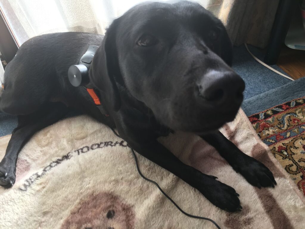 じゅんちゃんリサーチ開始