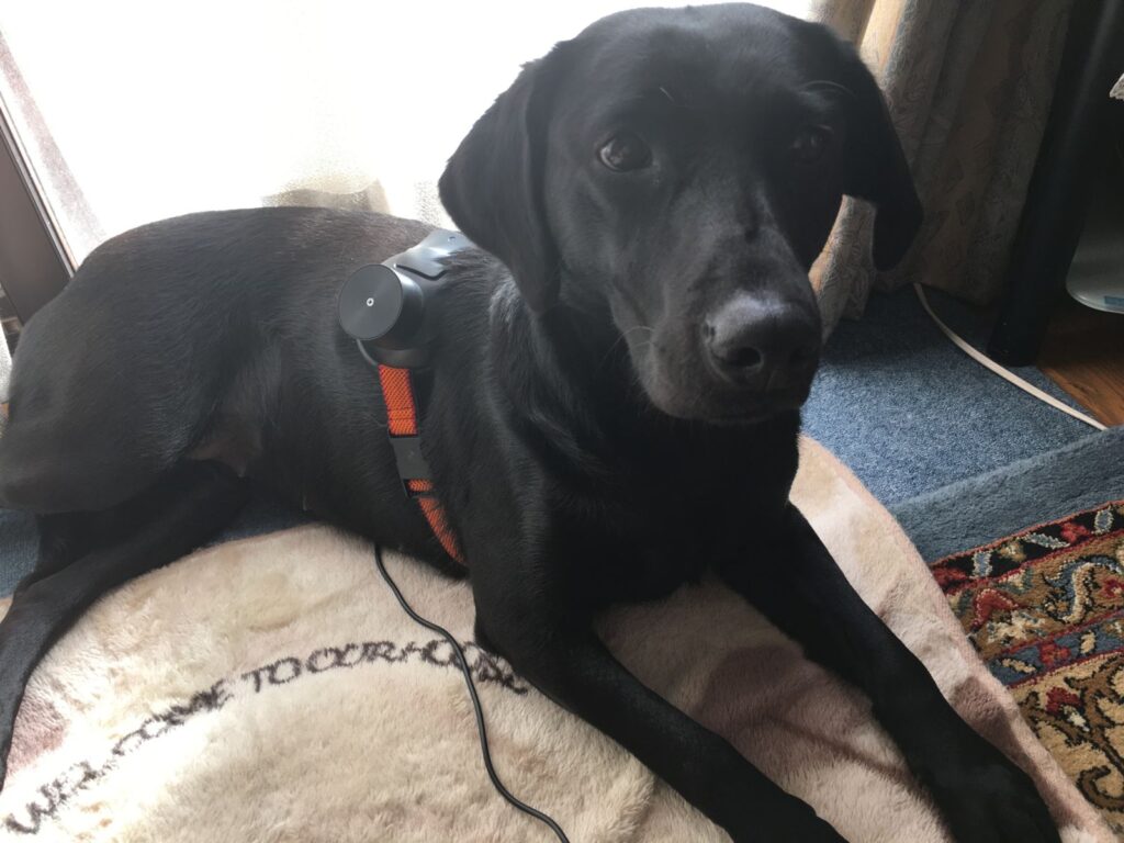 気持ちいいなぁ~